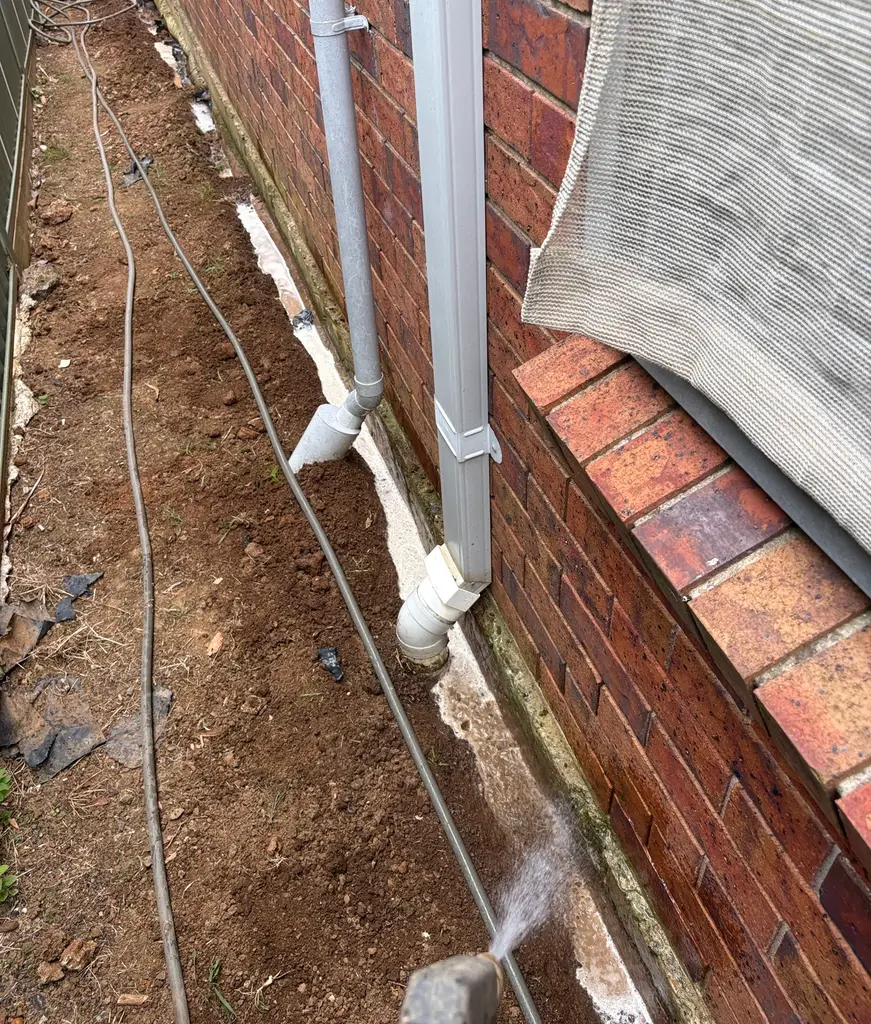 Termite Treatment Quakers Hill That Works