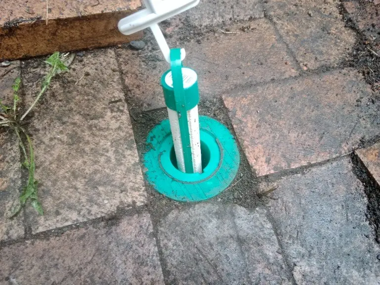 When Termite Baiting Sydney Is the Right Choice